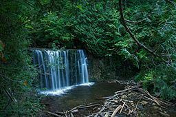 Boyne River (Grey County) httpsuploadwikimediaorgwikipediacommonsthu