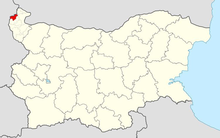 Boynitsa Municipality