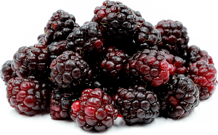 Boysenberry Boysenberries Information Recipes and Facts