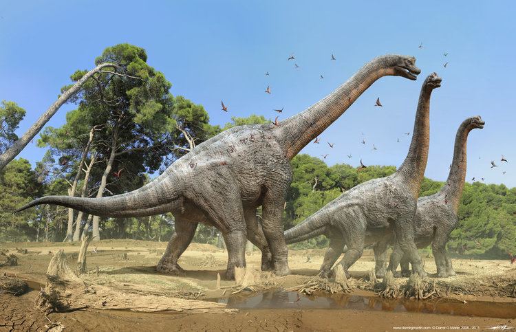 Brachiosaurus Brachiosaurus Facts and Pictures