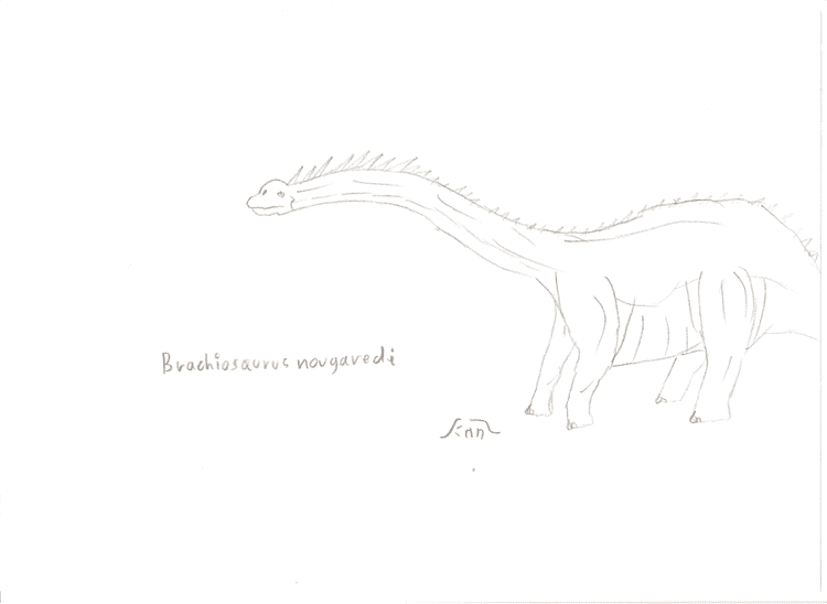 Brachiosaurus nougaredi fc08deviantartnetfs70i2010050f0Brachiosau