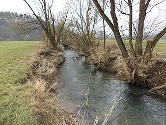 Bracht (river) httpsuploadwikimediaorgwikipediacommonsthu