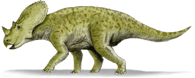 Brachyceratops BRACHYCERATOPS DinoChecker dinosaur archive