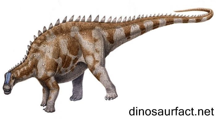 Brachytrachelopan Brachytrachelopan dinosaur