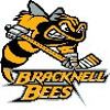 Bracknell Bees httpsuploadwikimediaorgwikipediaen22fBra