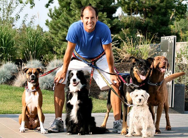 Brad Pattison Controversial dog trainer returns Yukon News