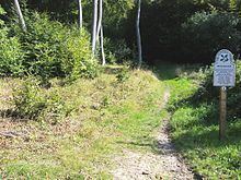 Bradenham Woods, Park Wood and The Coppice httpsuploadwikimediaorgwikipediacommonsthu