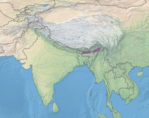 Brahmaputra Valley semi-evergreen forests httpsuploadwikimediaorgwikipediacommonsthu