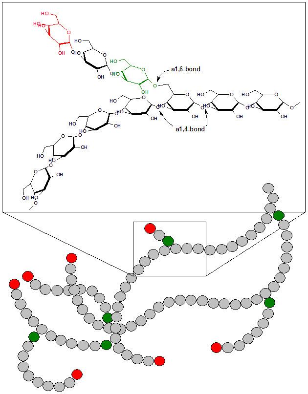 Branching (polymer chemistry)