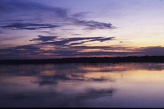 Branco River (Acre) httpsuploadwikimediaorgwikipediacommonsthu