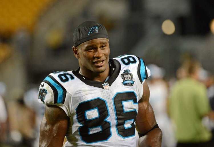 Brandon Williams (tight end) Seahawks sign TE Brandon Williams DE Tavaris Barnes seattlepicom