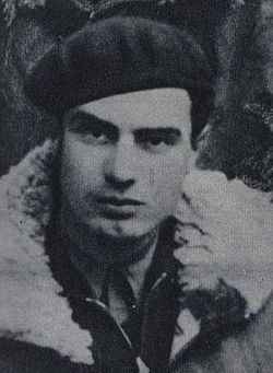 Branko Krsmanović httpsuploadwikimediaorgwikipediashthumb5