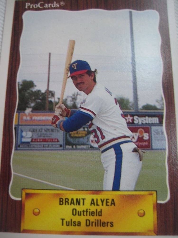 Brant Alyea Baseball Cards Come to Life Player Profile Brant Alyea