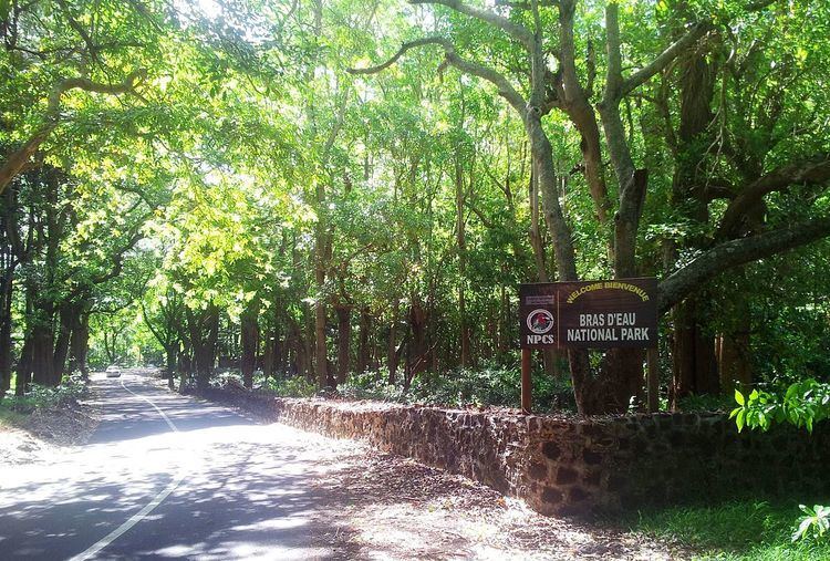 Bras d'Eau National Park