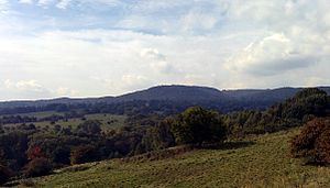 Brasselsberg (Habichtswald) httpsuploadwikimediaorgwikipediacommonsthu