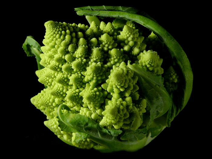 Brassica Brassica oleracea var oleracea Ensembl Genomes 34