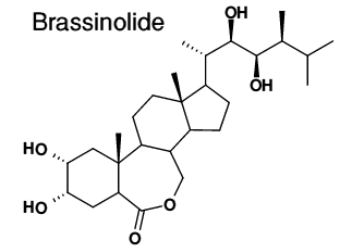 Brassinolide Hormones amp Signalling Molecules Wild Flower Finder