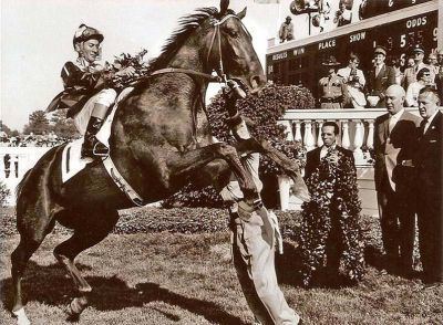 Braulio Baeza Meet retired Hall of Fame jockey Braulio Baeza Harnesslink