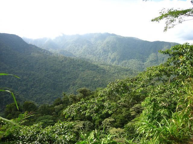 Braulio Carrillo National Park