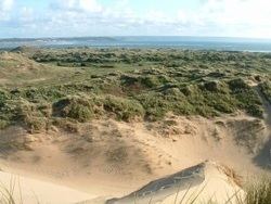 Braunton Burrows Braunton Burrows North Devon UNESCO Biosphere Reserve UK