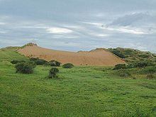 Braunton Burrows httpsuploadwikimediaorgwikipediacommonsthu