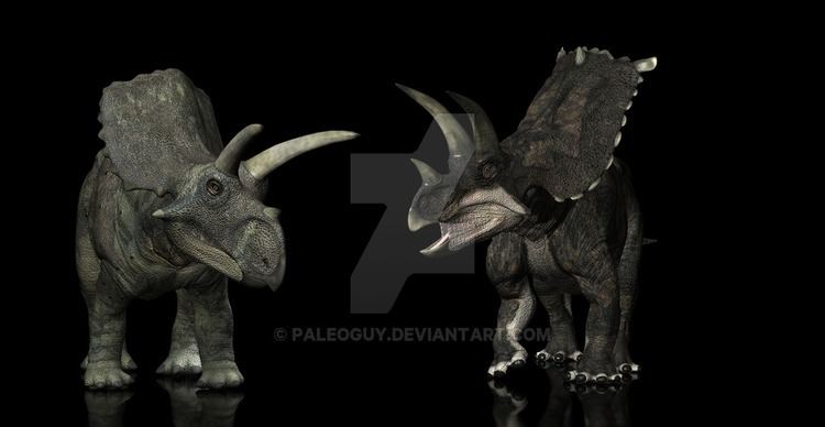 Bravoceratops bravoceratops DeviantArt