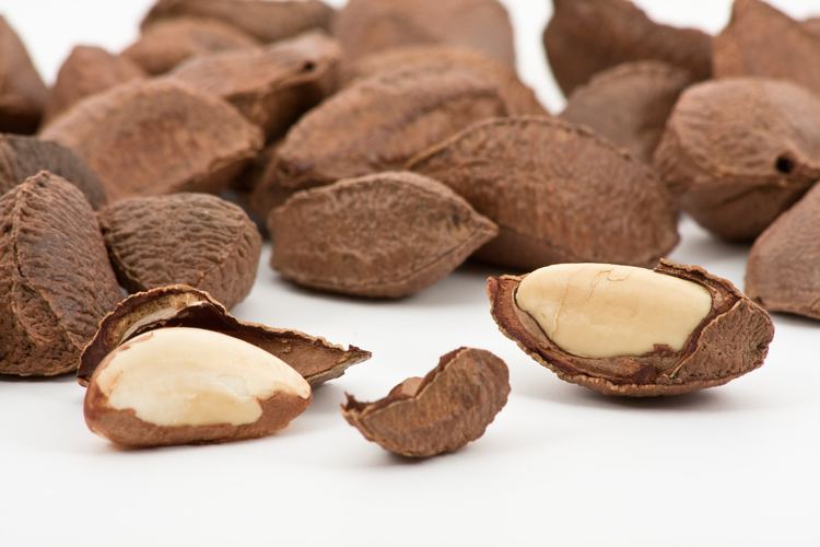 Brazil nut Organic Raw Vegan Brazil Nut Coconut Yogurt Dodhisattva39s