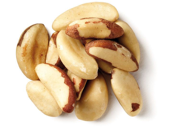 Brazil nut Brazil nuts Balancing Nutrition