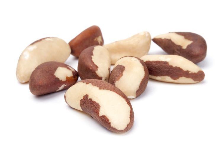 Brazil nut Health Benefits of Brazil Nuts The AntiCancer Superfood