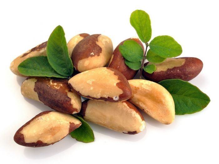 Brazil nut 9 Surprising Benefits of Brazil Nuts Organic Facts