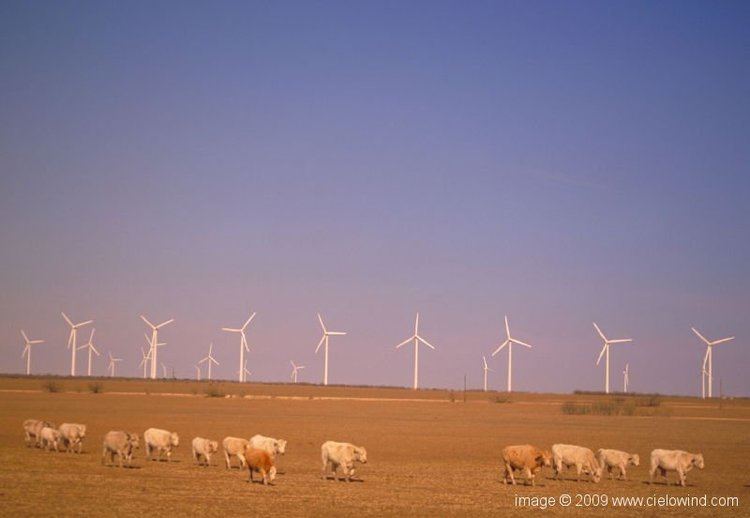Brazos Wind Farm wwwcielowindcomwpcontentgalleryBrazosPictur