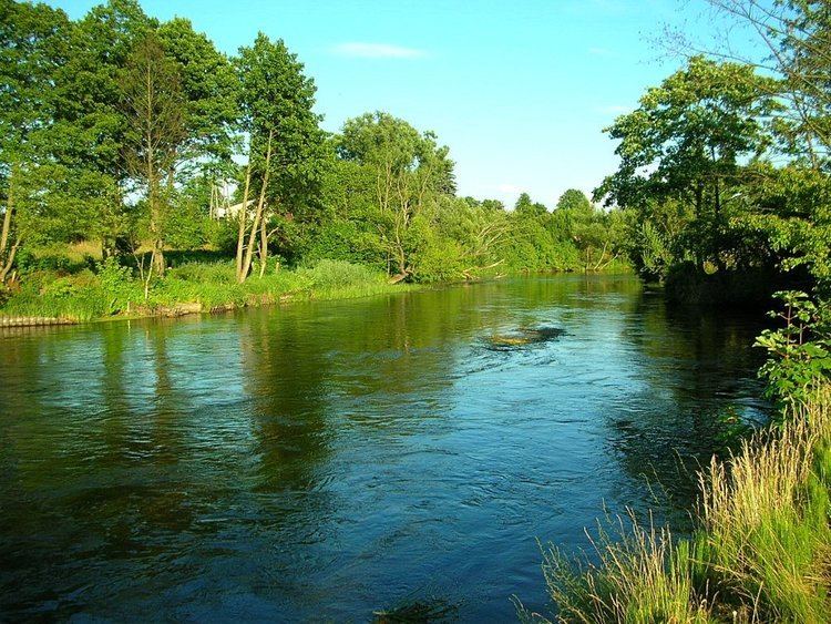Brda (river) httpsuploadwikimediaorgwikipediacommonscc