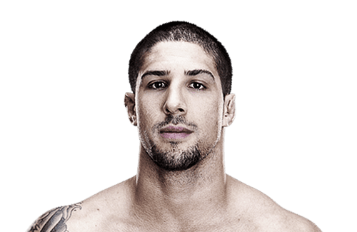 Brendan Schaub Brendan quotThe Hybridquot Schaub Official UFC Fighter Profile