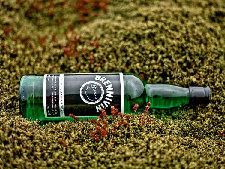 Brennivín Brennivin a nice summer drink WhiskeyWine Reviews amp Ratings from