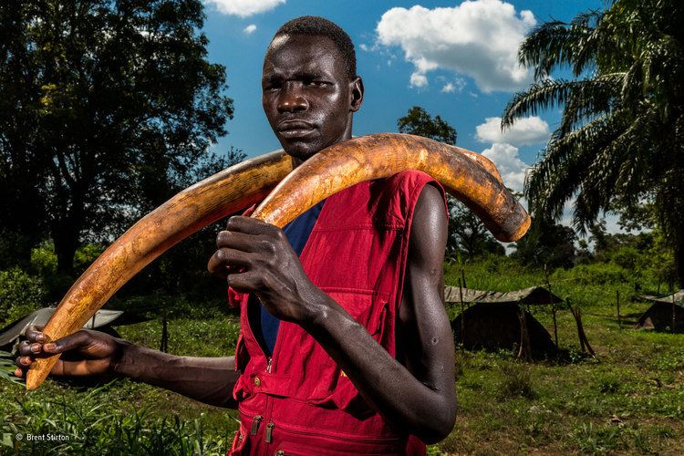 Brent Stirton The spoils of war Brent Stirton The Wildlife Photojournalist