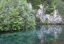 Brenz (river) httpsuploadwikimediaorgwikipediacommonsthu