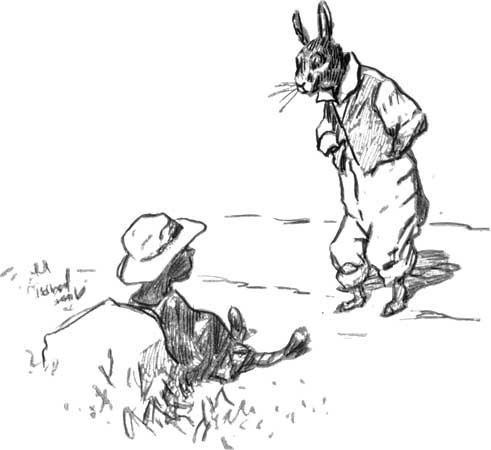 Br'er Rabbit httpsuploadwikimediaorgwikipediacommonsff