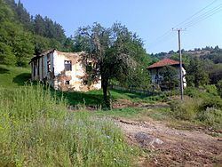 Bresnica, Bosilegrad httpsuploadwikimediaorgwikipediacommonsthu