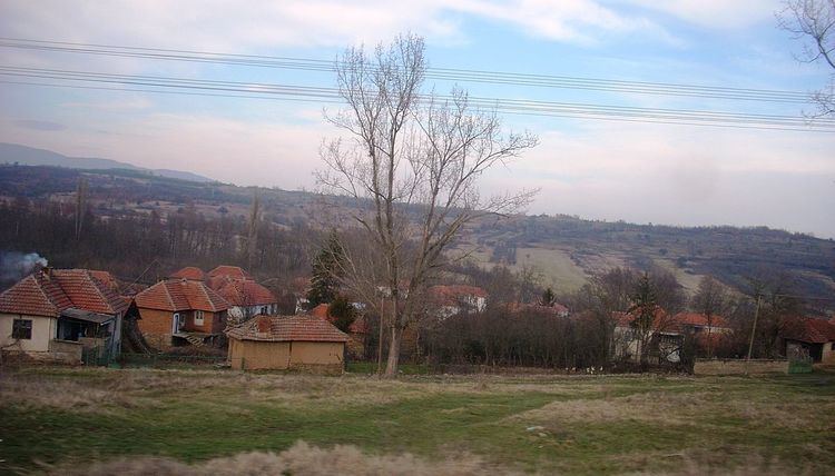 Brestovac, Bojnik