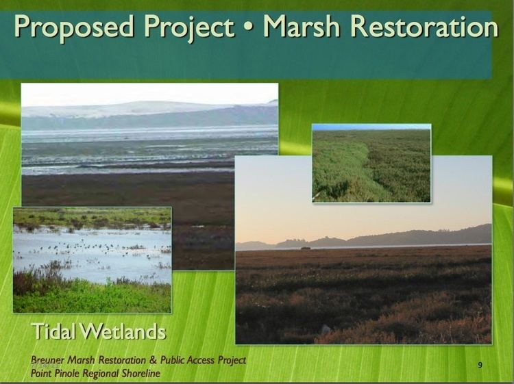 Breuner Marsh Breuner Marsh Restoration Project in North Richmond releases EIR