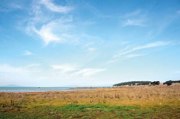Breuner Marsh Reclaiming the Richmond Shoreline Bay Nature