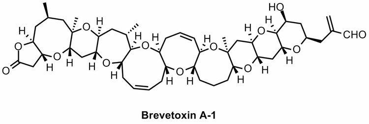 Brevetoxin Directory Listing of KCNcomp