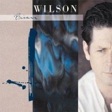 Brian Wilson (album) httpsuploadwikimediaorgwikipediaenthumb8