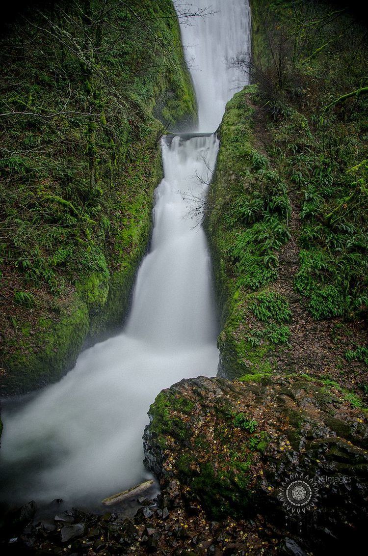 Bridal Veil Falls (Oregon)
