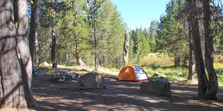 Bridalveil Creek Campground Bridalveil Creek Campground Yosemite National Park camping in