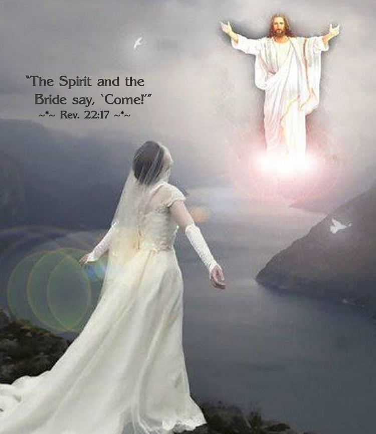 Bride of Christ Bride of Christ Bride Of Christ Bible Verse GODS WORDS
