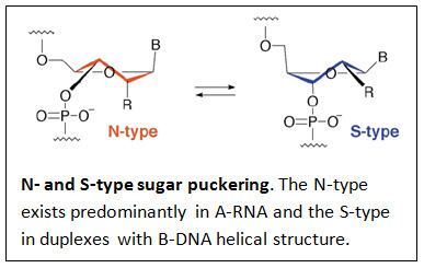 Bridged nucleic acid