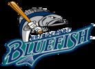 Bridgeport Bluefish httpsuploadwikimediaorgwikipediaenthumbf