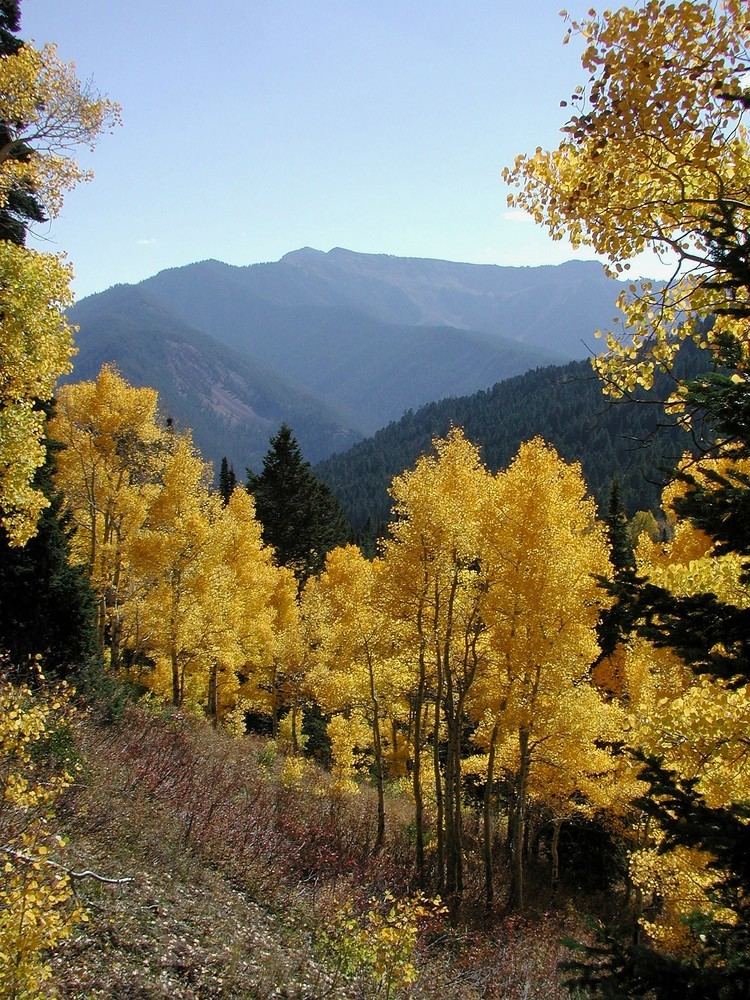 Bridger Teton National Forest - Alchetron, the free social encyclopedia