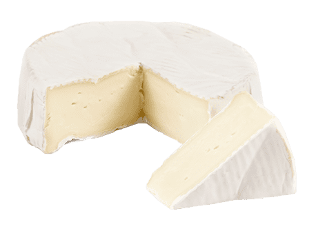 Brie Brie All You Need is Cheese